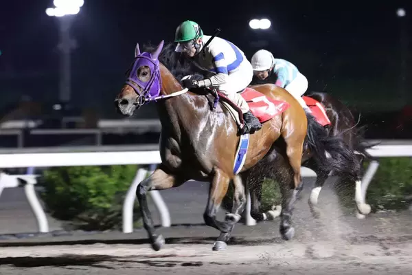 【高知・菖蒲洞特別】強い！　また勝った！！　ダオラダオラが破竹７連勝　赤岡修次騎手「しっかり我慢して走ってくれました」