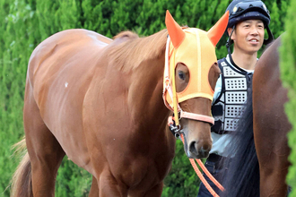 【注目馬動向】桜花賞馬スターアニスはスプリンターズＳへ　未勝利以来の１２００戦