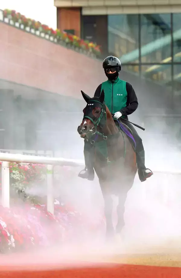 【キーンランドＣ】断トツ人気はパンジャタワー　３連勝中の３歳馬が単勝７・０倍２番人気　前日最終オッズ
