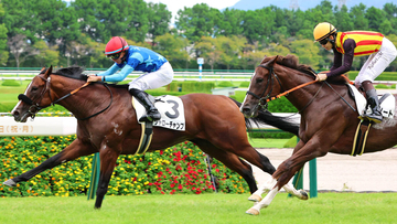 【阪神３Ｒ】単勝１・１倍ハートノートはまさかの２着　桜花賞馬スターアニス半妹に高野調教師「外で気持ちが...」