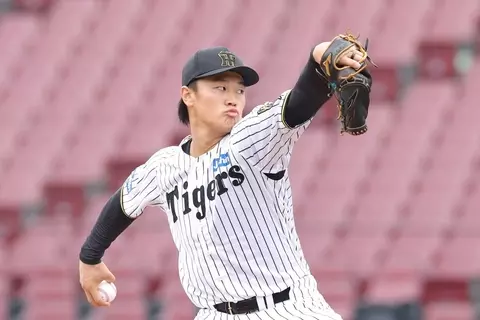 鈴木麻起子 ターキッシュ ピッチャー レア La Maison de Vent＞鈴木  