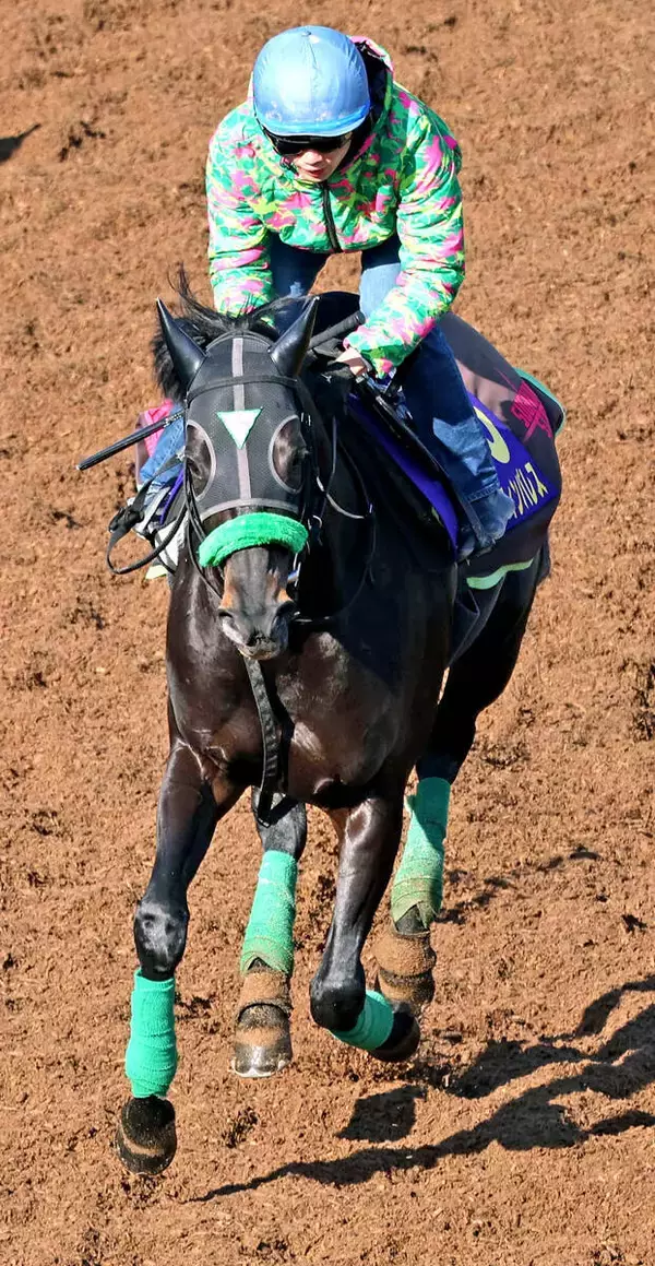 【有馬記念・考察】メイショウタバルがカギ握る展開　「今の中山は絶対に内」も緩やかな流れなら怖いのは…