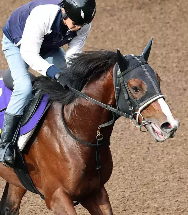 【注目馬動向】レッドシーターフＨの招待を辞退したエキサイトバイオは脚元の不安　今野調教師「大事を取りました」