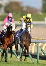 【注目馬動向】中東情勢の影響を受けマスカレードボールはドバイ遠征中止　大阪杯へ　