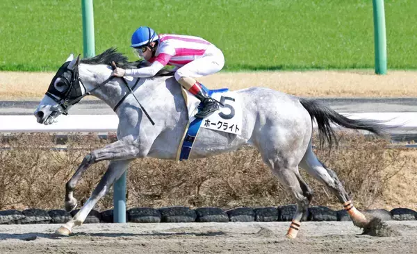 ３戦連続惜敗続き→激変の圧勝劇にＳＮＳ仰天「なんで今まで…」「お手上げ」　中山８Ｒのホークライトが７馬身差Ｖ