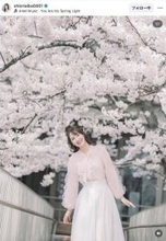 秋田出身の相場詩織アナ、地元で満開の桜と「最高のコラボ」桜色のふわっとトップスがお似合い！