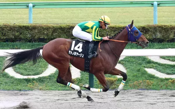 【兵庫ＣＳ・浅子の特注馬】国内で底を見せていないサトノボヤージュ　不安要素あるがオッズ妙味出れば積極買い