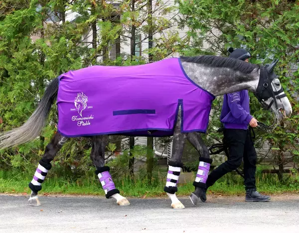 【天皇賞・春】“盾男”武豊騎手とアドマイヤテラに追い風！過去最多勝の２枠３番に　Ｇ１・４勝目狙うクロワデュノールは４枠７番　枠順決定