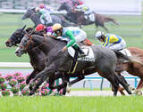 「【注目馬動向】５月９日の１勝クラスを勝利したコルテオソレイユはラジオＮＩＫＫＥＩ賞へ」の画像1
