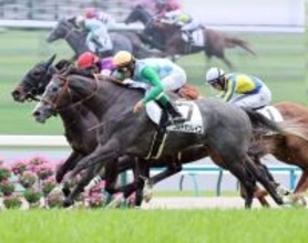 【注目馬動向】５月９日の１勝クラスを勝利したコルテオソレイユはラジオＮＩＫＫＥＩ賞へ
