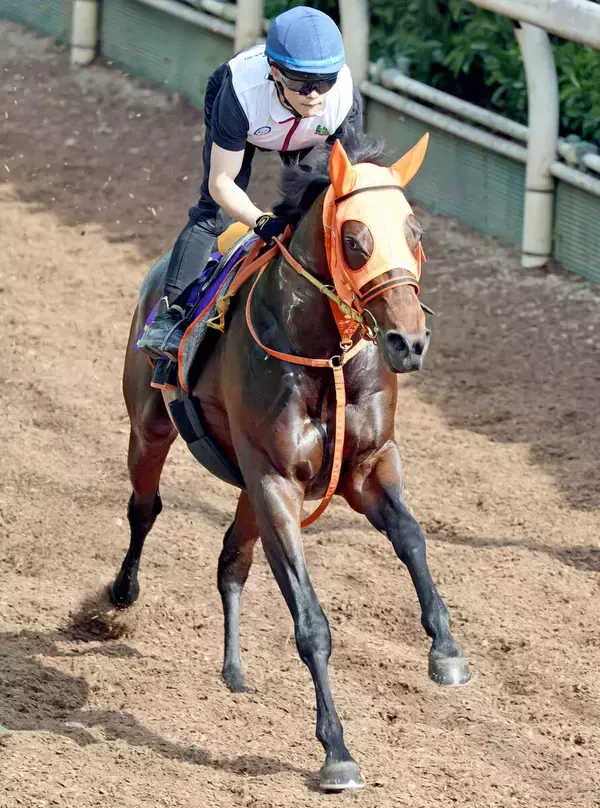 【日本ダービー・１週前】無傷３連勝中のコンジェスタスは坂路で京都新聞杯Ｖのダメージ感じさせず　高野調教師「ひと安心」