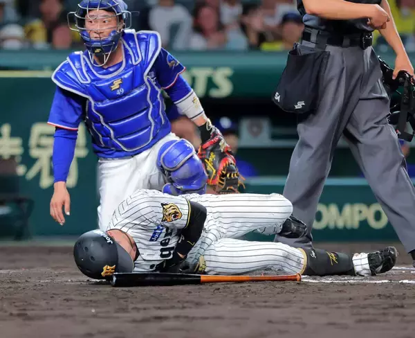 【阪神】甲子園に怒号！　中野拓夢が背中付近に死球受けて倒れ込む　球場騒然も７回の守備就く