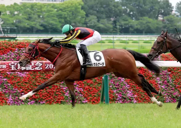 東西で新馬戦Ⅴにネット驚き隠せず「想像以上に…」「無双すぎる」エフフォーリア産駒が早くも３勝目ゲット