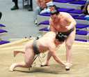 横綱のしこ名を継ぐ旭富士、歴代３位タイの序ノ口デビューから２４連勝　佐久間山の最多記録まであと「３」