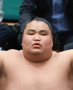 横綱のしこ名を継ぐ旭富士、歴代３位タイの序ノ口デビューから２４連勝　佐久間山の最多記録まであと「３」