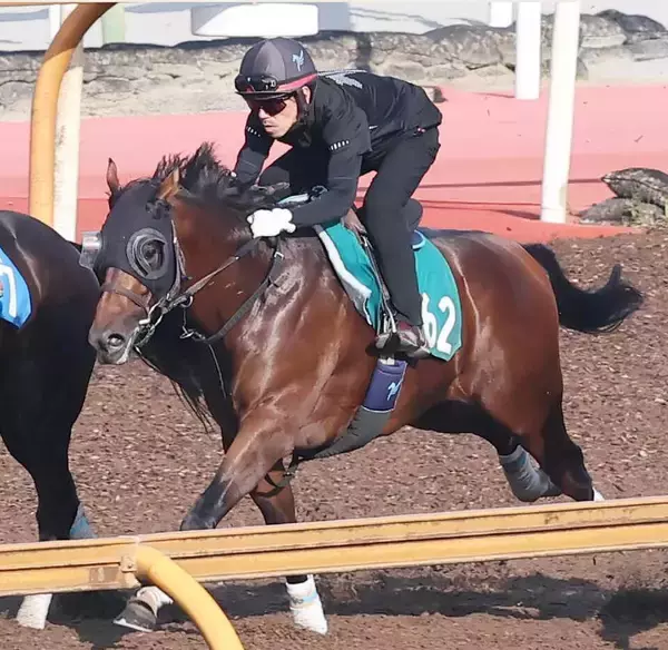 【今週のトク注新馬】ダービー馬ダノンデサイルの半弟・ダノンチャンピオンが中京芝で初陣　安田調教師「大人びています」