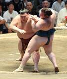 「熱海富士が勝ち、優勝決定戦進出」の画像1