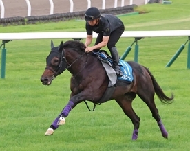 【札幌記念・特選有力馬チェック】ショウヘイは買うべき？