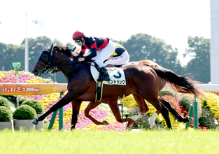 【京都５Ｒ・２歳新馬】１番人気ビンドゥングが鋭く伸びてＶ　戸崎圭太騎手「最後は切れがありました」