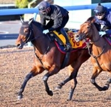 【ターコイズＳ】ルメール騎手のウンブライルは３枠６番　中山替わりで巻き返しを期すホウオウラスカーズは８枠１５番
