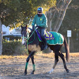「【ホープフルＳ・坂本の特注馬】もともと素材の良さを評価されていたオルフセン　タフな競馬の経験値が生きる」の画像1