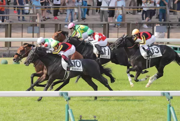 ダービー馬シャフリヤールの初年度産駒が誕生「人にも関心が強いようで…」　一度は種牡馬引退も一転して続行
