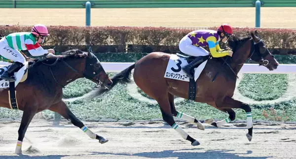【東京４Ｒ・３歳１勝クラス】荻野極騎手「遊びながら走ってますが…」前走７着で人気落ちのロンギングフォユー快勝