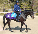 「【小倉大賞典】重賞２着２回のセンツブラッドは６枠１２番　ハンデ５３キロ魅力のエラトーは７枠１４番　枠順確定」の画像1