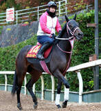 「１日のチューリップ賞を制したタイセイボーグが左第１指骨を剥離骨折　ＪＲＡ発表」の画像1
