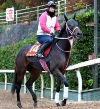 １日のチューリップ賞を制したタイセイボーグが左第１指骨を剥離骨折　ＪＲＡ発表