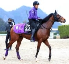 【報知杯弥生賞】前日の単勝１番人気はアドマイヤクワッズの２・４倍　ライヒスアドラーが２・５倍で２番人気