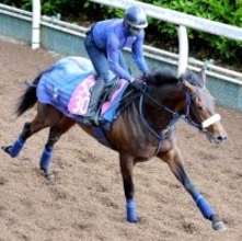 【フローラＳ】兄２頭は重賞ホース　良血エンネは坂路で素軽い脚さばき　吉岡調教師「体も絞れた感じ」