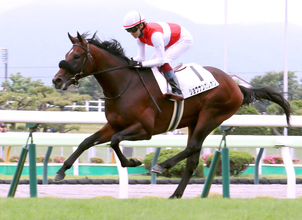 【函館５Ｒ・新馬戦】２・１億円馬が２歳コースレコード！「スターになれる素材」鮫島駿がショウナンガレオン絶賛