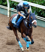 【中京記念】故障を乗り越えたカズミクラーシュが３度目の重賞挑戦で初タイトルへ　初コンビのＭデムーロ騎手が絶好の感触