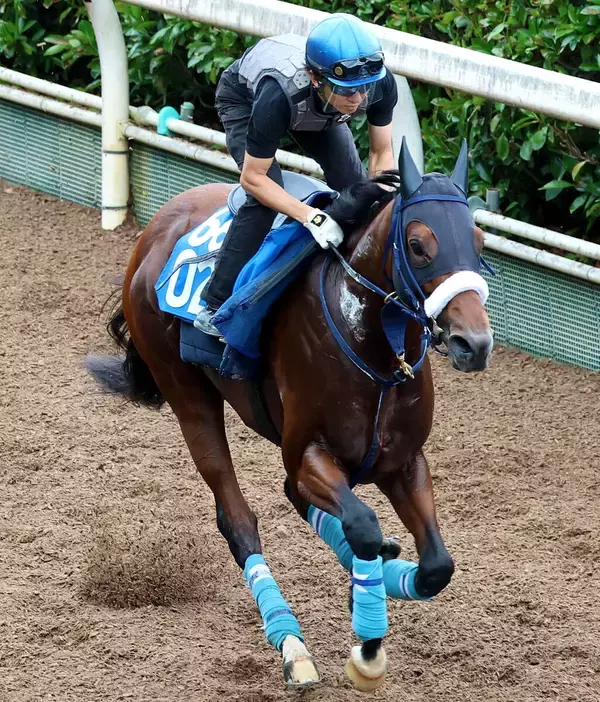 【中京記念】故障を乗り越えたカズミクラーシュが３度目の重賞挑戦で初タイトルへ　初コンビのＭデムーロ騎手が絶好の感触