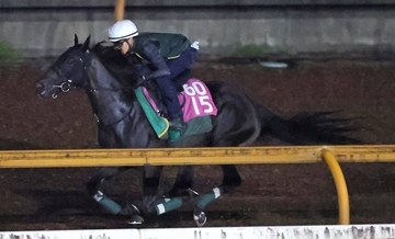 【ローズＳ】モンローウォークの快進撃は止まらない！無傷４連勝へ上村調教師「レースセンスがいいですね」
