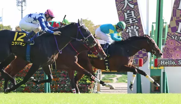 【東京９Ｒ・アイビーＳ】単勝１・９倍のコラリオン強襲届かず…勝ったのは１１番人気の伏兵キャピタルストーン　