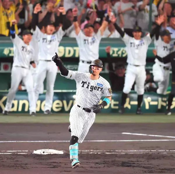 金村義明氏が佐藤輝明のポスティング容認の阪神に危惧「おらんかったらどうするんやろう。知らんで！」…小谷野栄一＆藤本敦士両コーチの退団にも「察します」