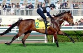 【香港スプリント】サトノレーヴは新コンビのムーア騎手が騎乗　「全てにおいてスムーズでいい感じ」