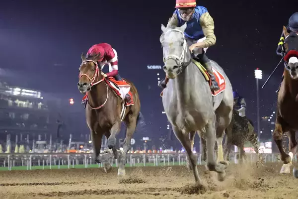 フォーエバーヤング、ミュージアムマイルなど日本馬計１７６頭がドバイ・ワールドカップデーに予備登録