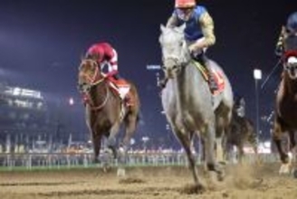 フォーエバーヤング、ミュージアムマイルなど日本馬計１７６頭がドバイ・ワールドカップデーに予備登録