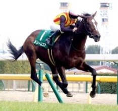 【クイーンＣ】国内外Ｇ１・２勝ノームコアの娘、ドリームコアが重賞初制覇　ルメール騎手「最後もいい瞬発力」