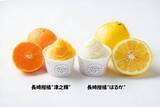 「食品ロス削減に貢献する新商品！規格外の長崎県産柑橘「はるか」「津之輝」を使用したジェラートが誕生　「ＪＡタウン」のショップ「もぐもぐながさき」」の画像1