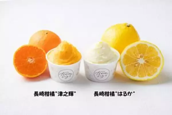 食品ロス削減に貢献する新商品！規格外の長崎県産柑橘「はるか」「津之輝」を使用したジェラートが誕生　「ＪＡタウン」のショップ「もぐもぐながさき」