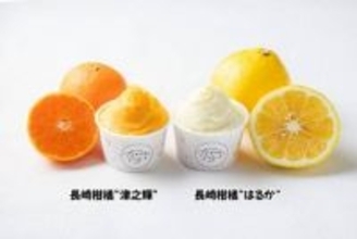 食品ロス削減に貢献する新商品！規格外の長崎県産柑橘「はるか」「津之輝」を使用したジェラートが誕生　「ＪＡタウン」のショップ「もぐもぐながさき」