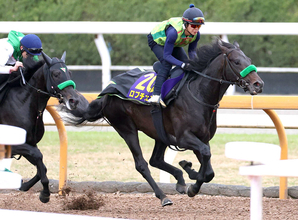 【Ｇ１トク捜リレー】栗東・松ケ下記者の注目はＧ１制覇時と同じＣＷコース追いに戻した前哨戦３着馬　皐月賞