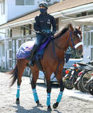 「【皐月賞・金曜調整】カヴァレリッツォは活気十分に坂路駆け上がる　陣営「思ったより時計が出たので、調子がいいのかな」」の画像1