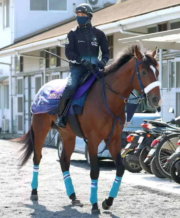 【皐月賞・金曜調整】カヴァレリッツォは活気十分に坂路駆け上がる　陣営「思ったより時計が出たので、調子がいいのかな」
