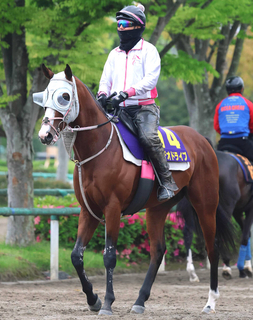 【ＮＨＫマイルＣ・追い切り】レーン騎手「余力があった」と手応え　ロデオドライブが馬なりで好タイムをマーク
