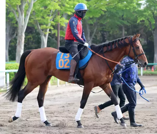 【新潟大賞典】ドゥラドーレス重賞初Ｖへの課題は精神面　宮田調教師「ネガティブになることなく取り組めている」